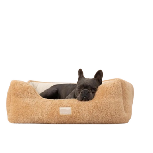 Comfort Plus Dog Bed for Ultimate Rest and Relief