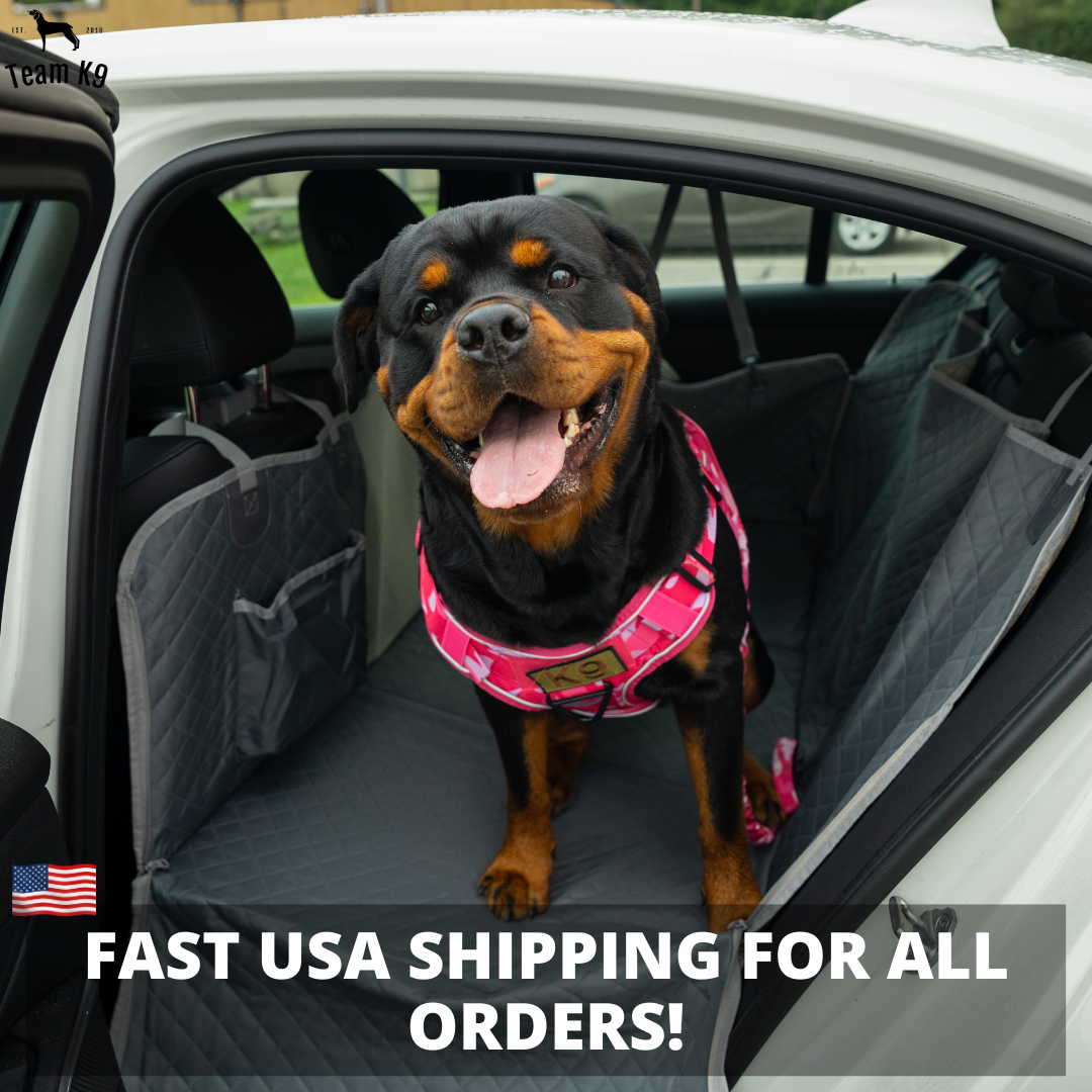 Ultimate Waterproof Pet Car Hammock with Storage & Safety Features
