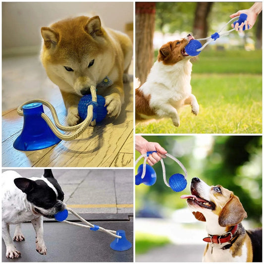 Ultimate Suction Cup Tug Toy for Dogs