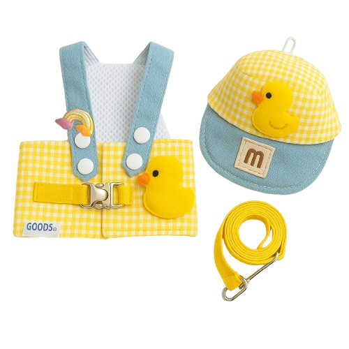 Adorable Dog Dress-Up Ensemble with Cap and Leash