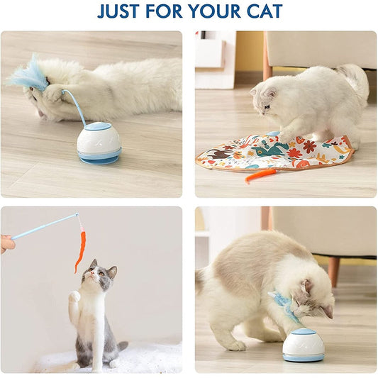 USB Rechargeable Rotating Feather Cat Play Toy for Fun