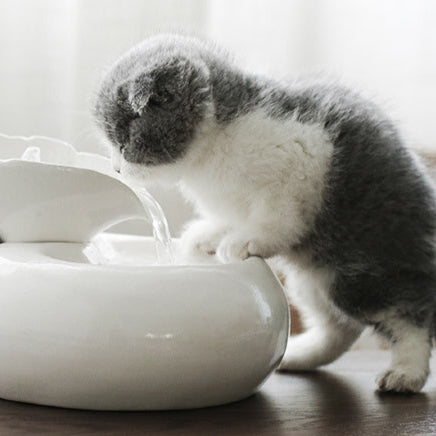 Ceramic Pet Water Fountain