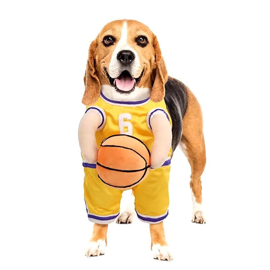Adorable Canine Basketball Costume for Fun Dress-Up Events