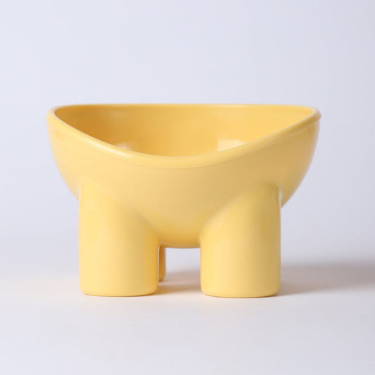 Stylish Raised Feeding Bowl for Cats