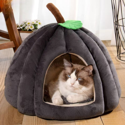 Whimsical Pumpkin Tent Bed for Cats and Small Dogs
