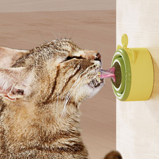 Interactive Catnip Sphere Treat Toy for Happy Cats
