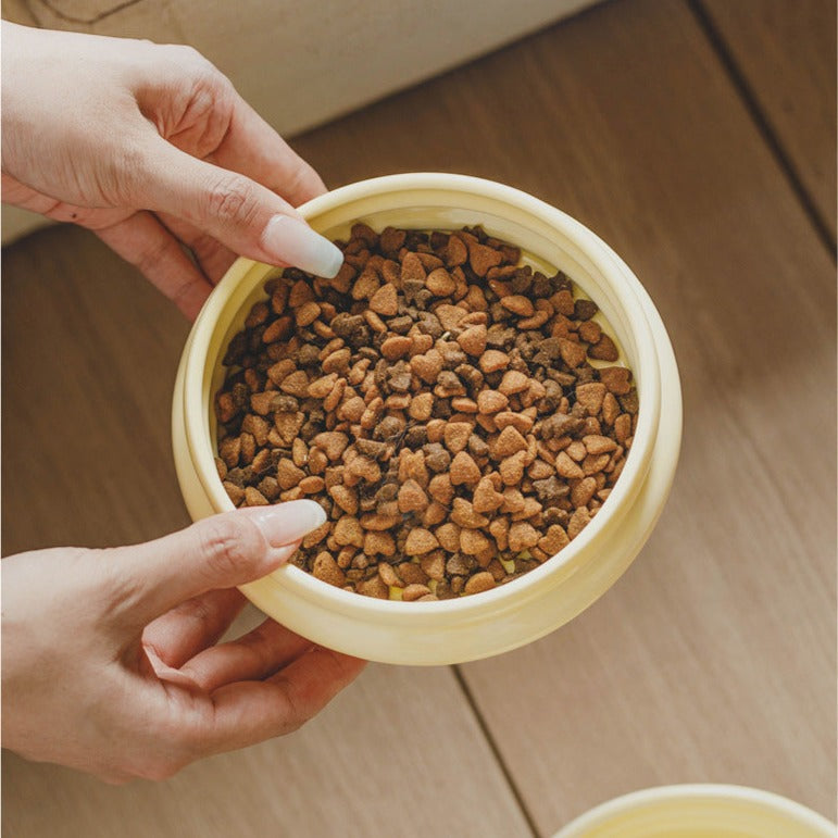 Charming Ceramic Cat Food and Water Bowl Set