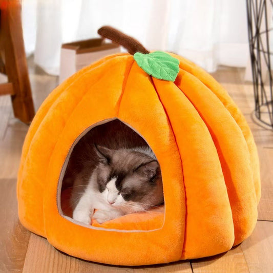 Whimsical Pumpkin Tent Bed for Cats and Small Dogs