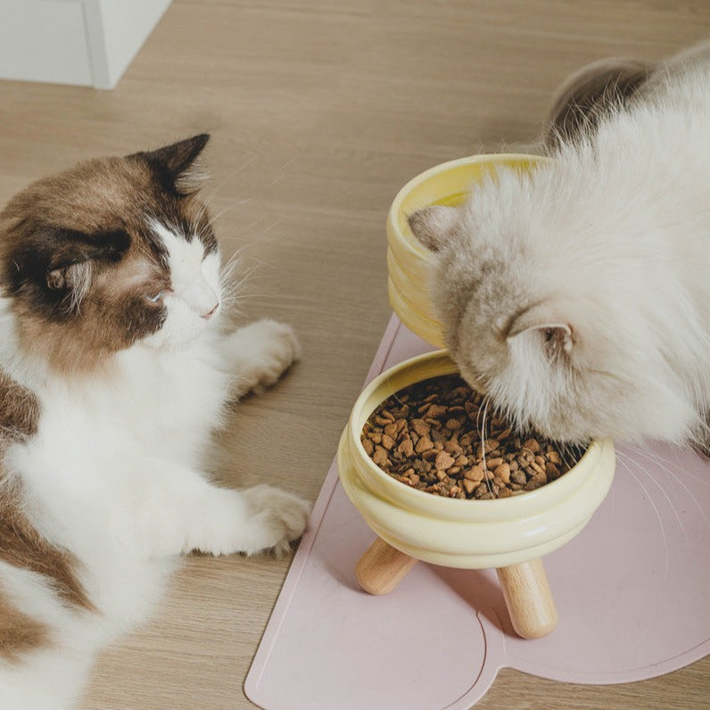 Charming Ceramic Cat Food and Water Bowl Set