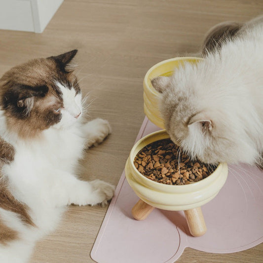 Charming Ceramic Cat Food and Water Bowl Set