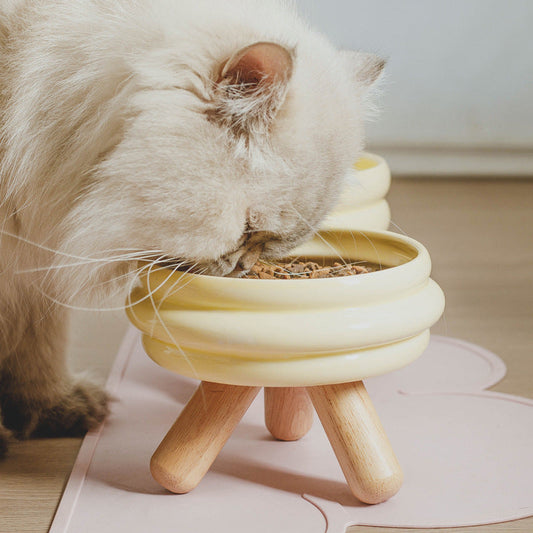 Charming Ceramic Cat Food and Water Bowl Set