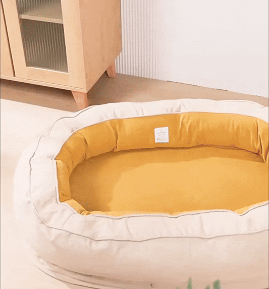 ComfortCare Orthopedic Bed for Large Dogs | Easy-Clean Design