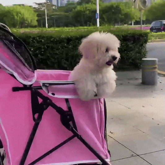 Comfortable and Convenient Pet Stroller for Your Dog