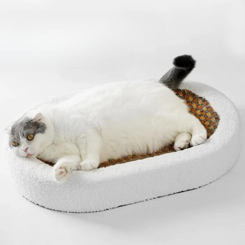 Plush Cat Bed with Built-In Scratching Surface