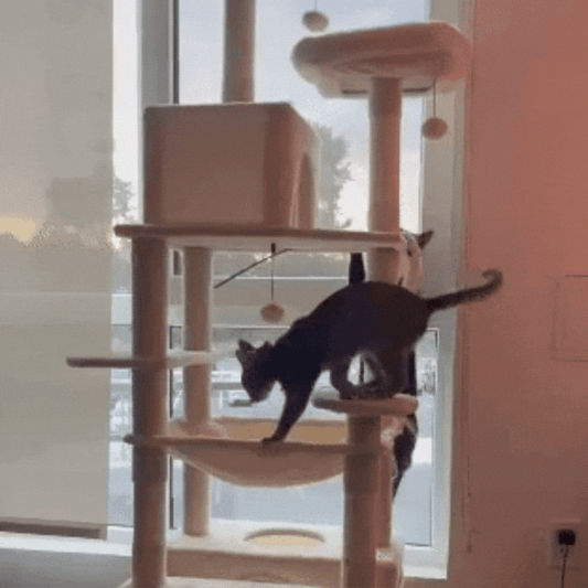 Chic Cat Haven: Stylish Cat Tower with Scratching Posts & Cozy Retreats