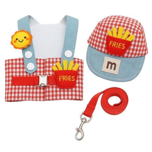 Adorable Dog Dress-Up Ensemble with Cap and Leash