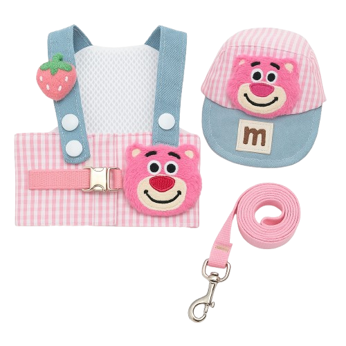 Adorable Dog Dress-Up Ensemble with Cap and Leash