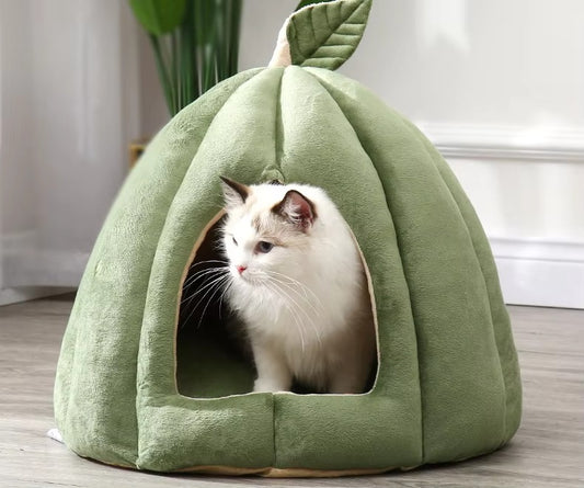 Pumpkin Paws Cat Cave