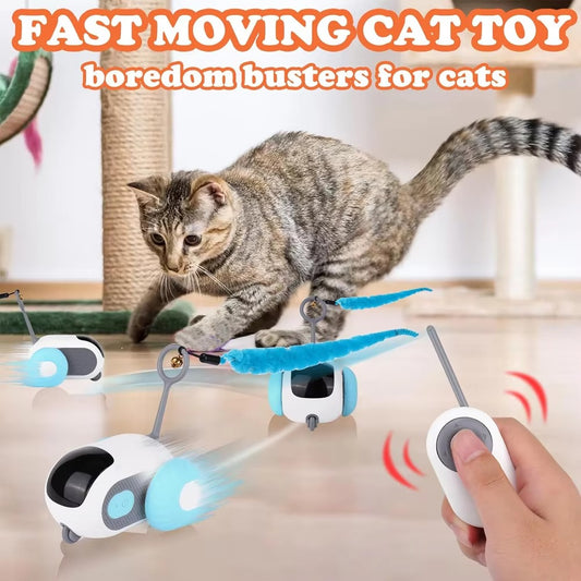 Whisker Racer