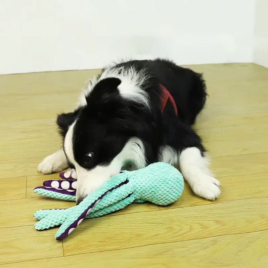Squeaky Octopus Toy