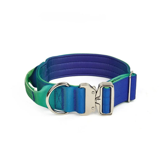 Gradient Comfort Dog Harness Set