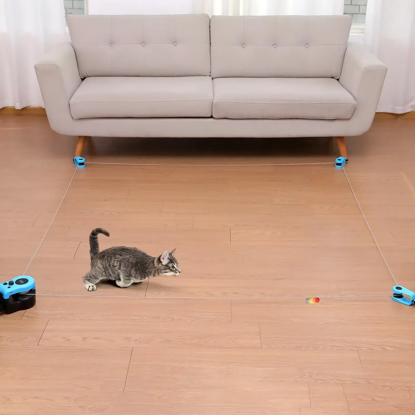 Interactive Indoor Cat Exerciser