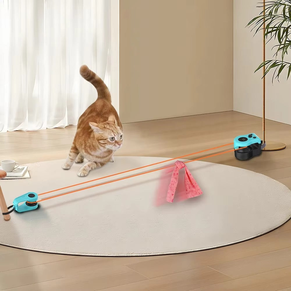 Interactive Indoor Cat Exerciser