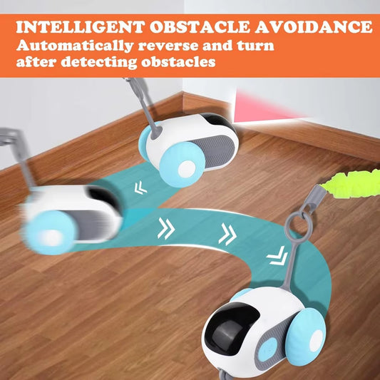 Whisker Racer