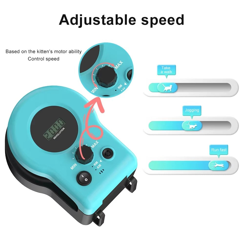 Interactive Indoor Cat Exerciser