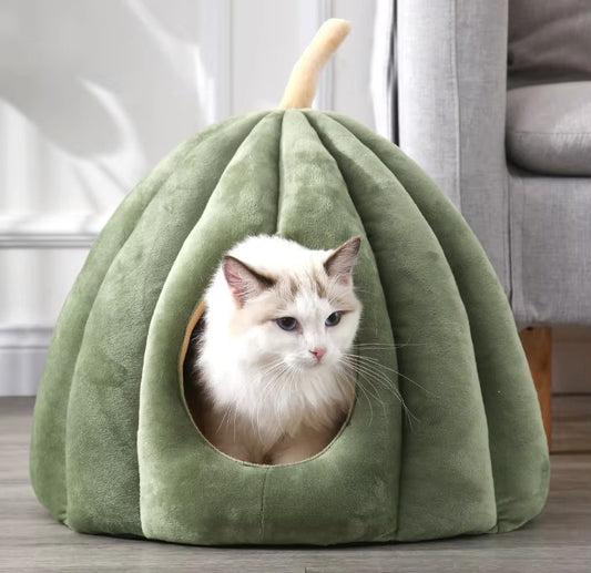 Pumpkin Paws Cat Cave