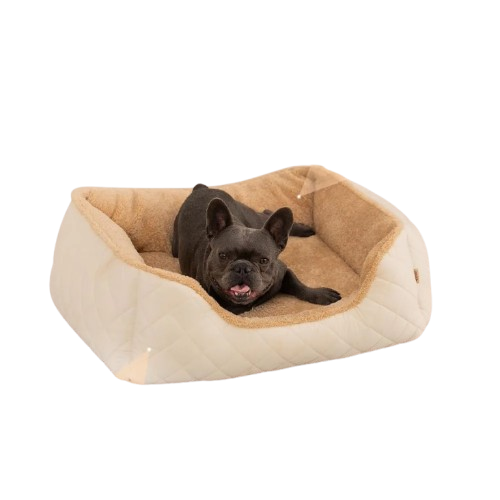 Comfort Plus Dog Bed for Ultimate Rest and Relief