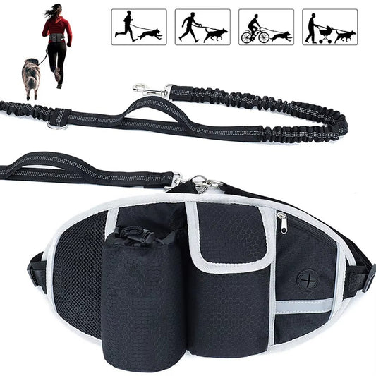 Hands-Free Dog Walking Belt & Bungee Leash Set