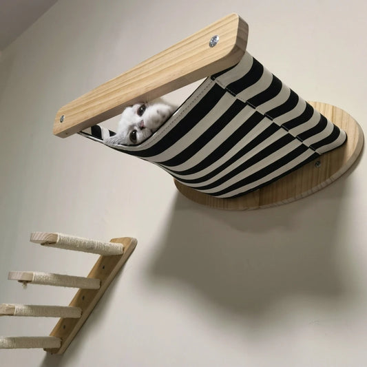 Climb & Lounge Wall Cat Set