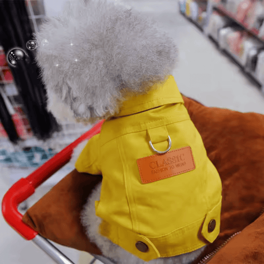 Cute Denim Style Dog Harness Coat