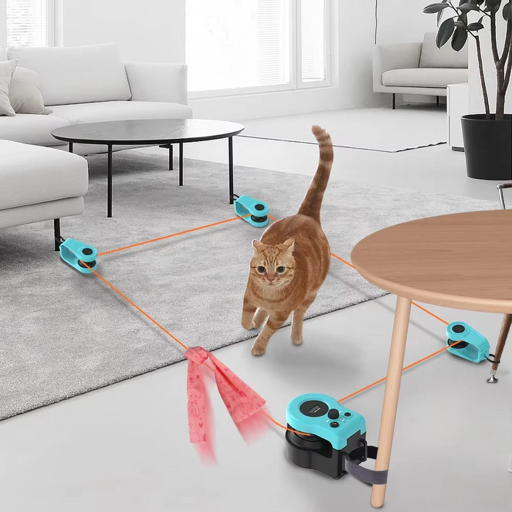 Interactive Indoor Cat Exerciser