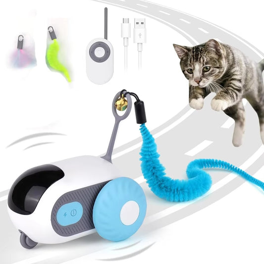 Whisker Racer