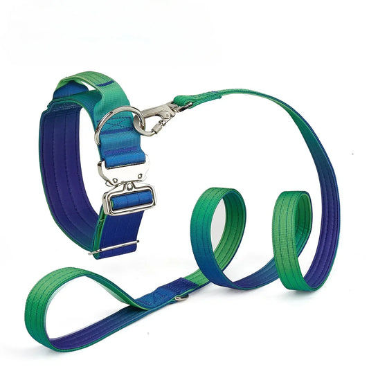 Gradient Comfort Dog Harness Set