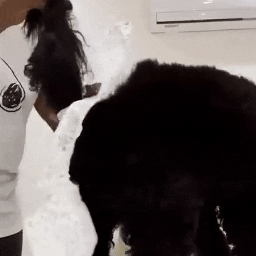 ComfortFit Dog Diapers: Leakproof Protection for Your Pup