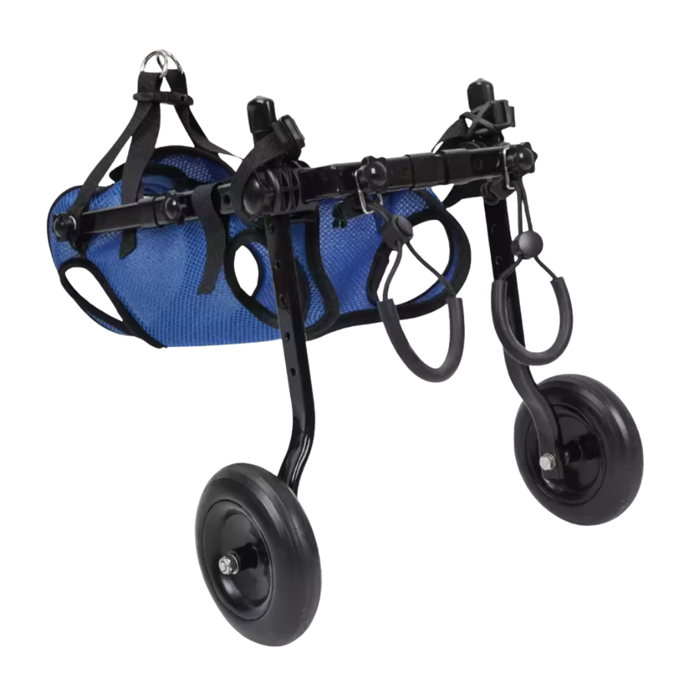 Versatile Pet Mobility Support Harness for Dogs