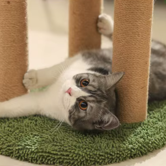 Whisker Wonderland | Ultimate Cat Playground