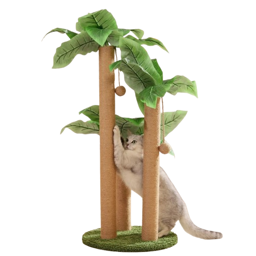 Charming Cat Play Haven | Scratch-Resistant Design