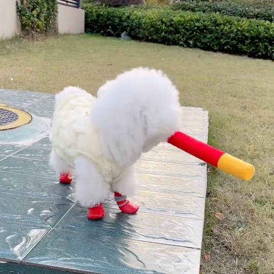 Waterproof Dog Shoes - Set of 4