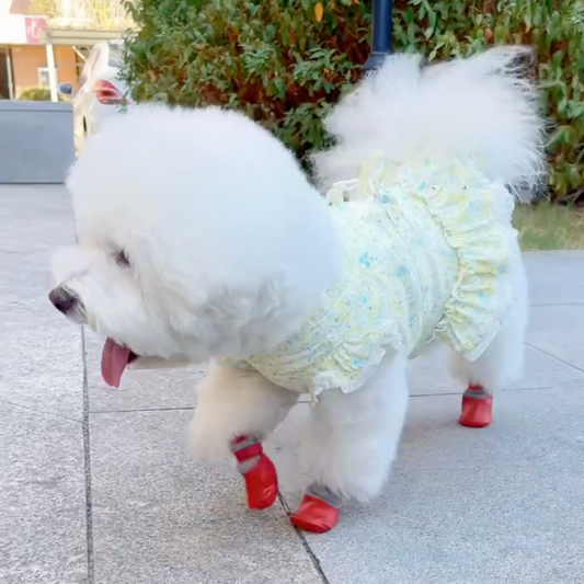 Waterproof Dog Shoes - Set of 4