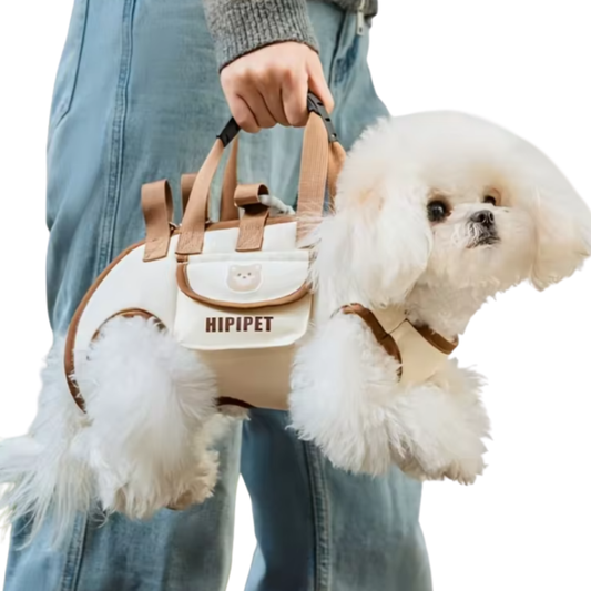 Comfortable Travel Carrier for Small Dogs and Medium Cats