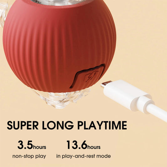 Rolling Pet Toy Ball