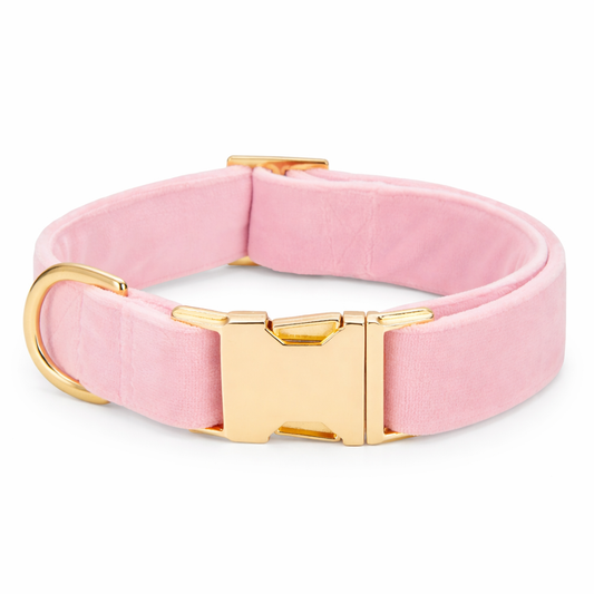 Chic Adjustable Dog Collar in Soft Blossom Pink