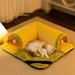 Cozy Cat Tunnel Bed with Play Ball