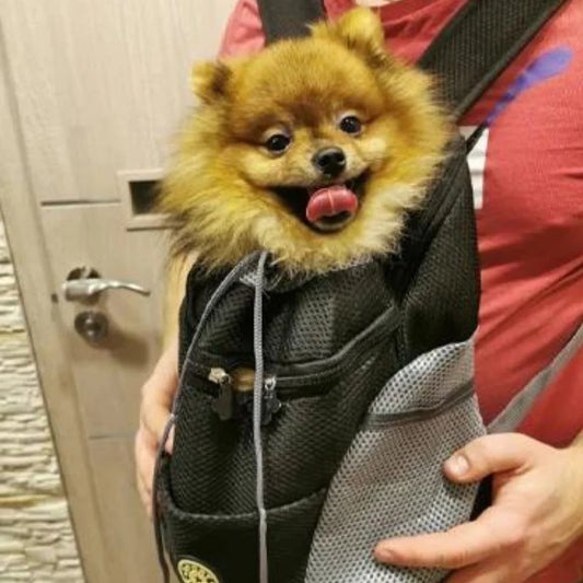 Dog Carrier Travel Backpack