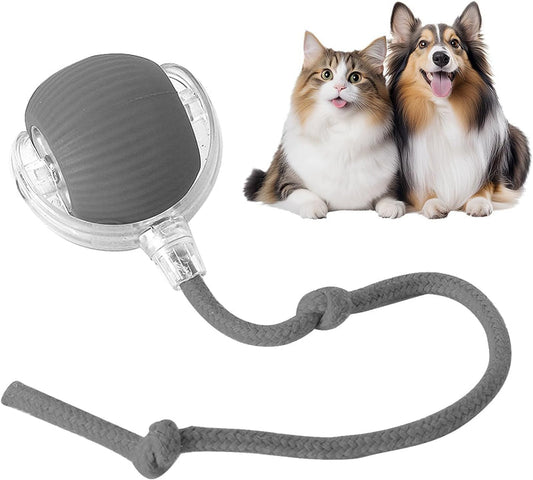 Rolling Pet Toy Ball