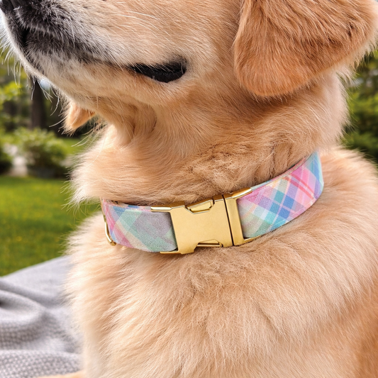 Classic Checkered Dog Collar for Everyday Style